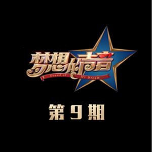 刘海瑞双飞与林太合作项目详情
