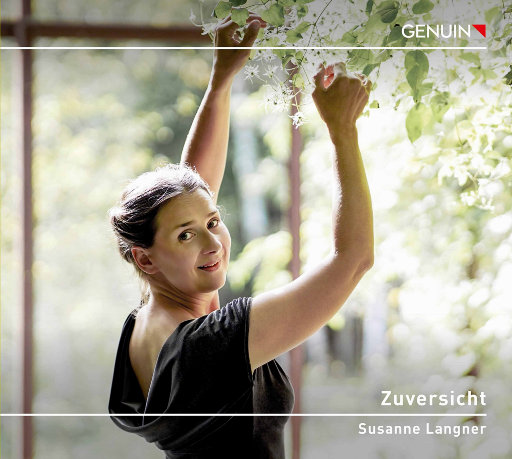 刘海瑞双飞与林太合作项目详情
